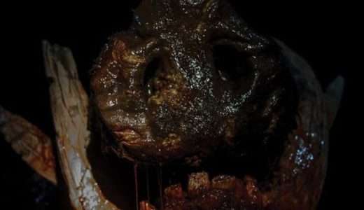 映画『ボア』ネタバレ感想・あらすじ・キャスト紹介！