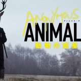 映画『アノニマス・アニマルズ 動物の惑星』あらすじ・キャスト・感想ネタバレ！