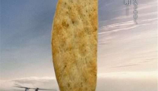 映画『メッセージ』ネタバレ感想・あらすじ・キャスト紹介！