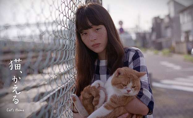 映画『猫、かえる Cat's Home』あらすじ・キャスト・感想ネタバレ！