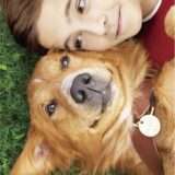 映画『僕のワンダフル・ライフ』あらすじ・キャスト・感想ネタバレ！