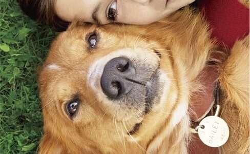 映画『僕のワンダフル・ライフ』ネタバレ感想・あらすじ・キャスト紹介！