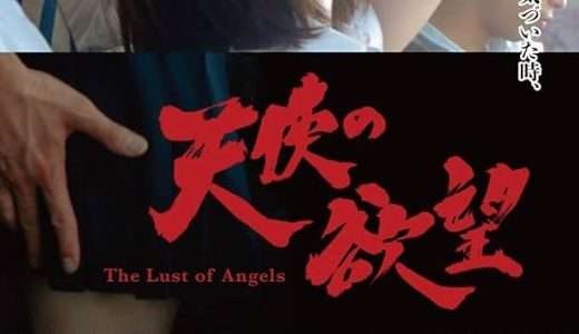 映画『天使の欲望』ネタバレ感想・あらすじ・キャスト紹介！