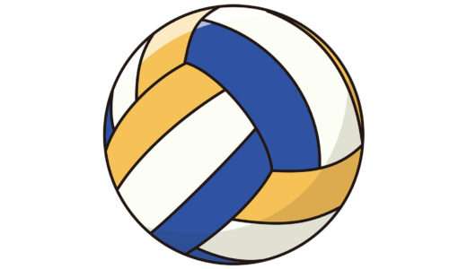 漫画『ハイキュー!!』プロ編のリーグ・チーム別メンバー一覧